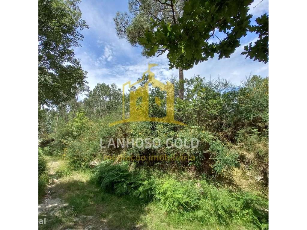 Bouça - Grande imagem: 3/8