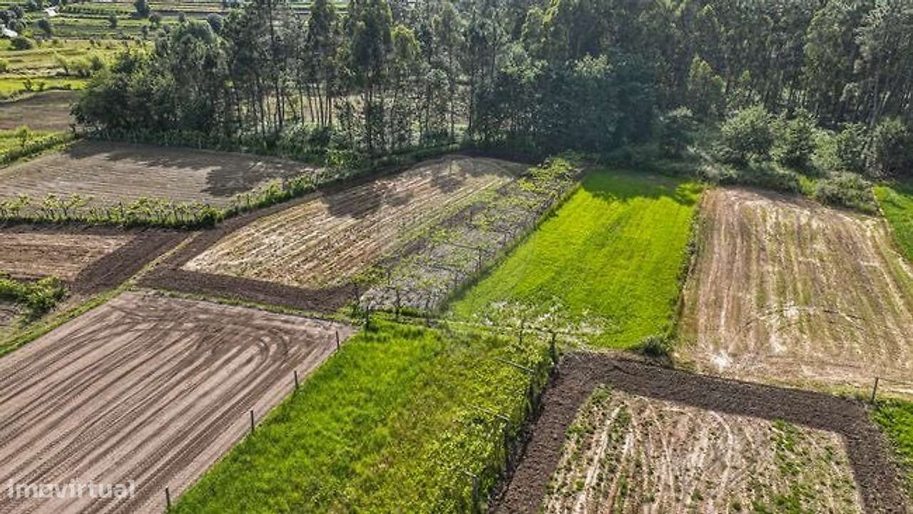 Terreno  para venda - Grande imagem: 5/6