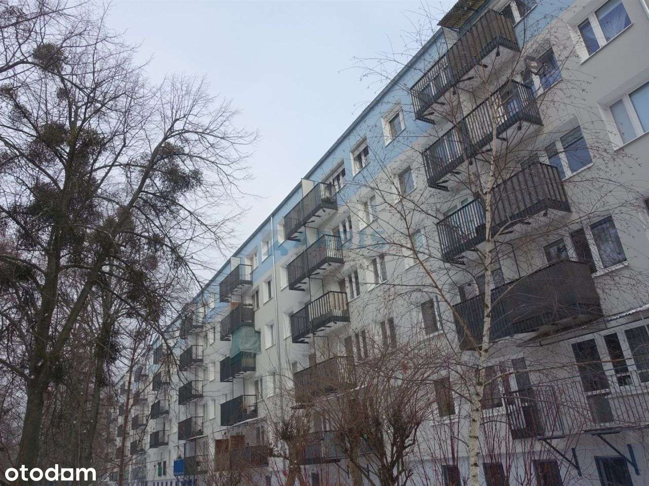 Winogrady , niski blok , 2 piętro,  3 pokoje !