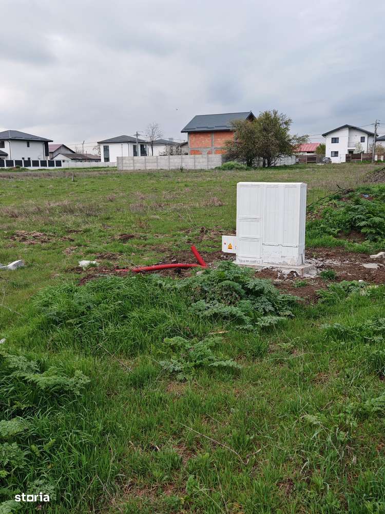 Teren de Vanzare, Comuna Berceni, Judetul Ilfov, Strada Serelor - Imagine principală: 3/6