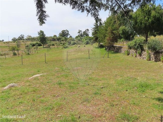 Quinta  para venda-9