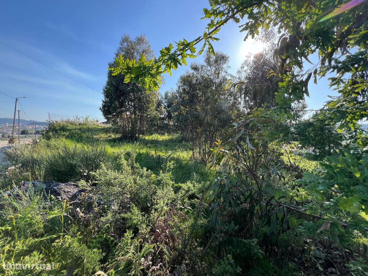 Terreno para construção em Fornelos - Grande imagem: 3/7