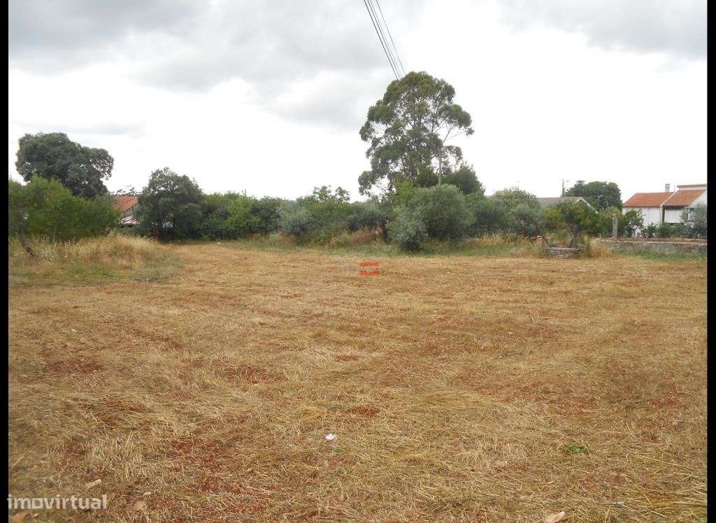 TERRENO PARA CONSTRUÇÃO COM 2880 M2 - MORADIA PARA RESTAURO - Grande imagem: 4/24