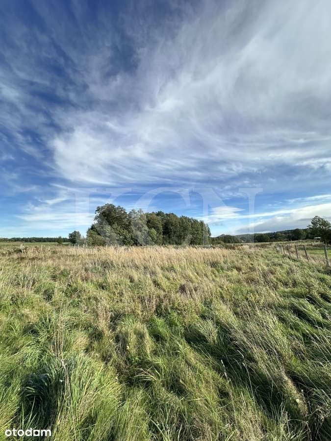 Działka "na odludziu" w miejscowości Dłużec - Pełny obrazek: 5/12