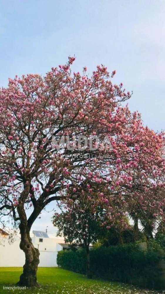 Casarão no coração da cidade de Ovar-39
