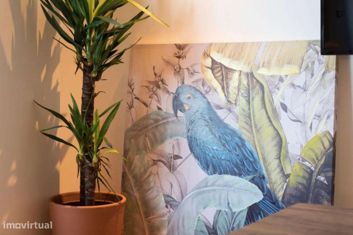 Apartamento com 1 quartos - localizado em Bonfim Porto - Grande imagem: 3/8