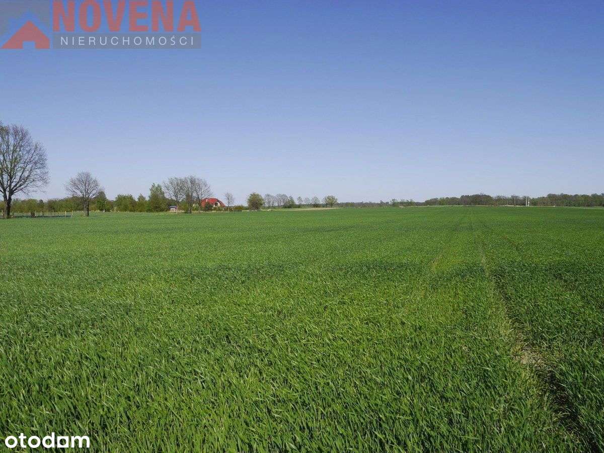 Bagno - 4,5km od stacji Pkp, obok las. - Pełny obrazek: 5/7