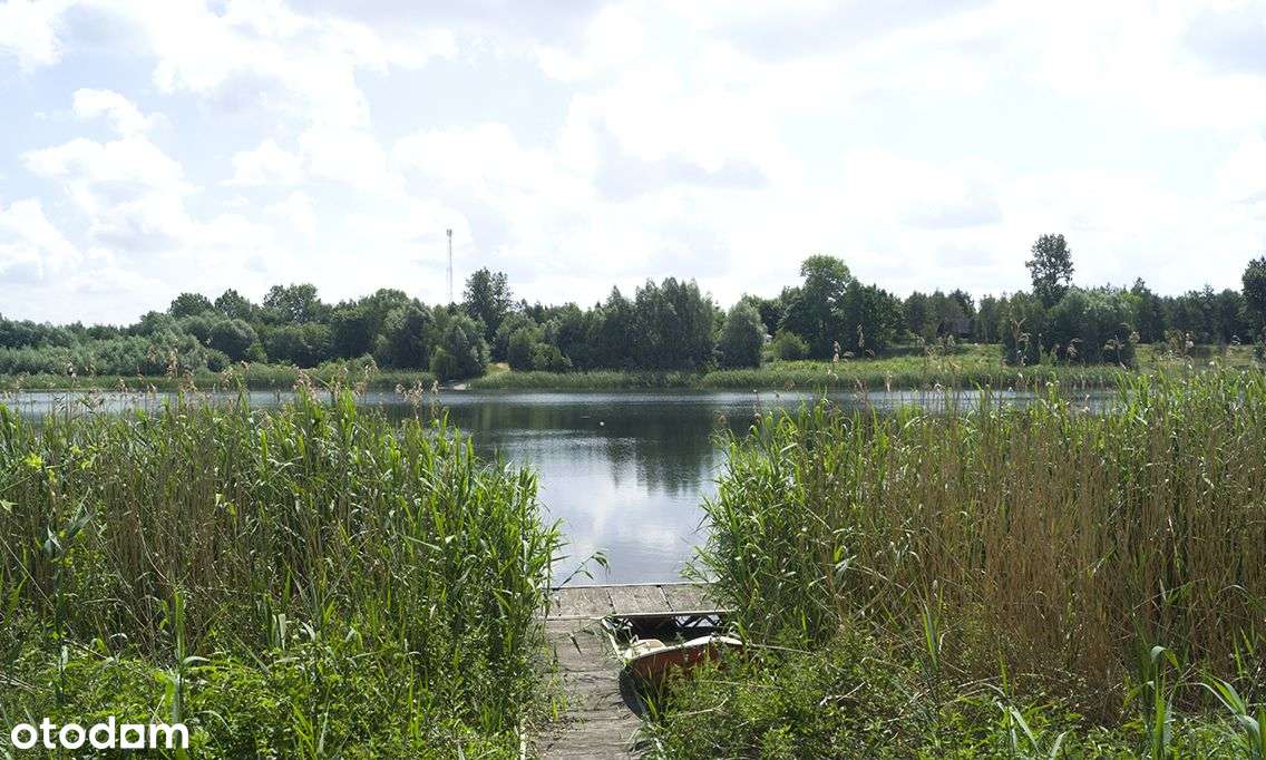 Zalesione działki rekreacyjne nad Jez. Wilczyńskim - Pełny obrazek: 4/14