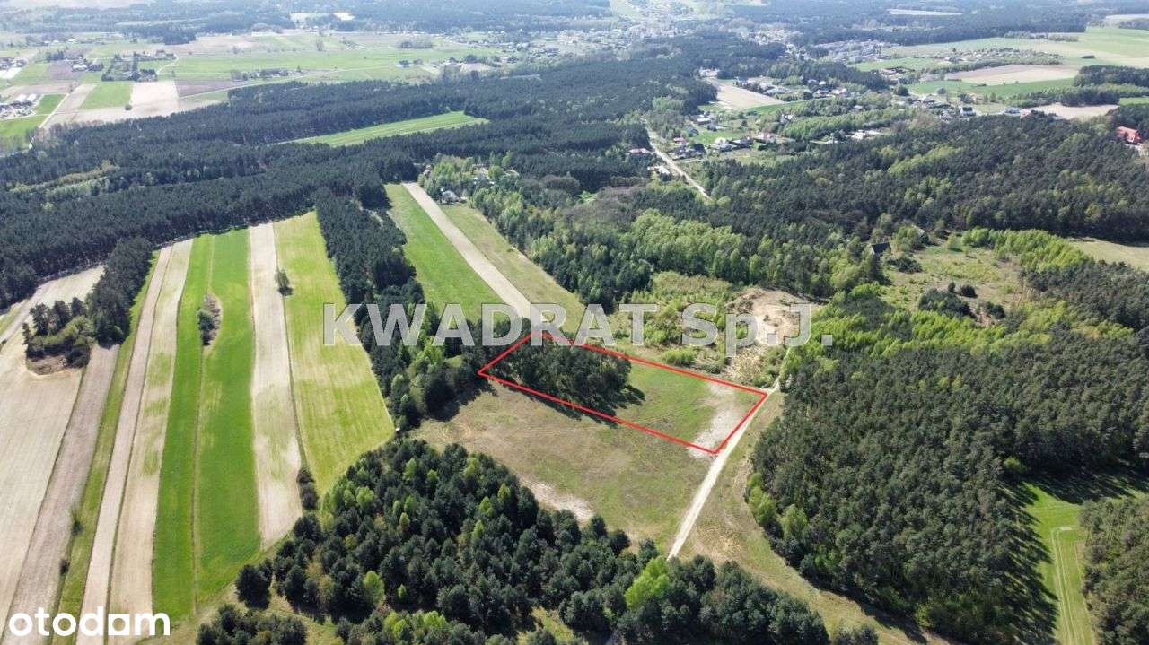 Piękna, duża działka z lasem – Kobyla Góra!!!-5