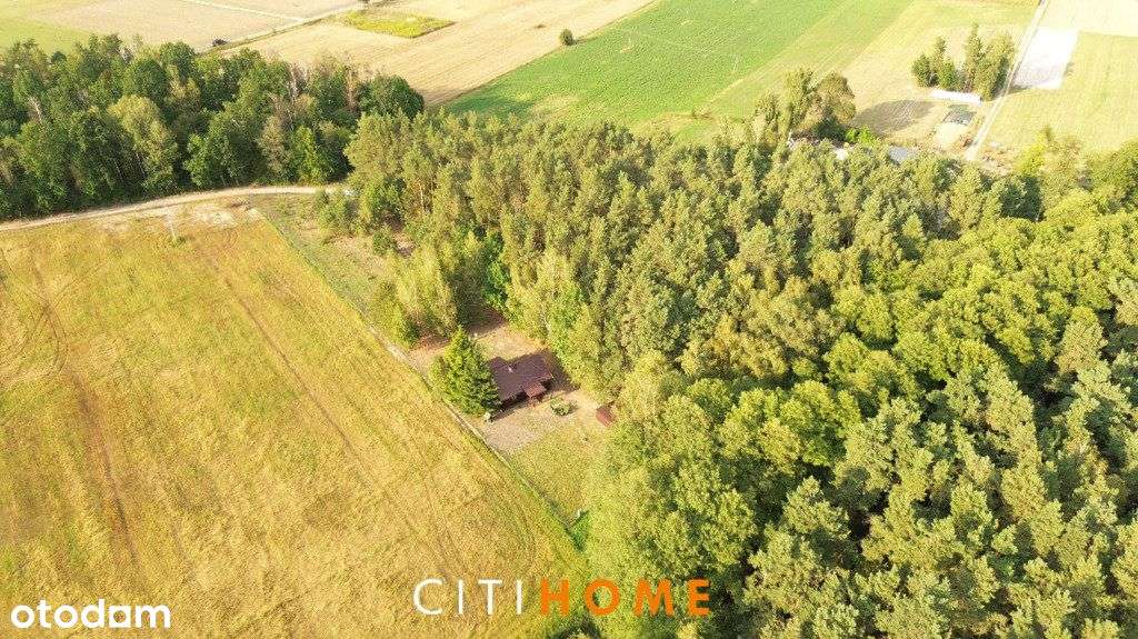 Siedlisko pod lasem gmina Łaskarzew-9