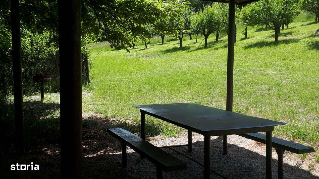 Teren extravilan  de vanzare | 4288 mp | in Gusterita - Imagine principală: 3/7