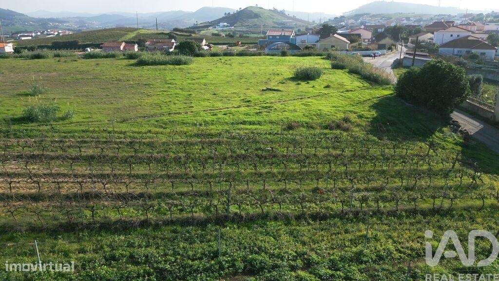 Terreno em Freiria de 15080,00 m2 - Grande imagem: 2/22