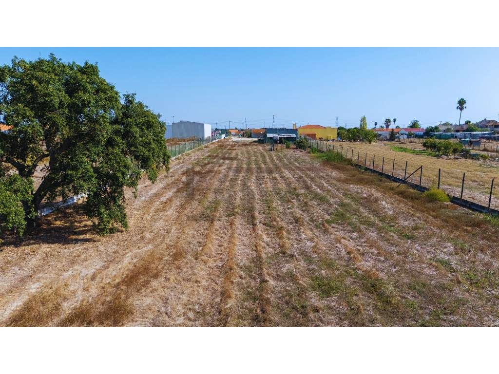 Terreno Misto com Viabilidade de Construção e Ótimos Acessos, para ... - Grande imagem: 4/11