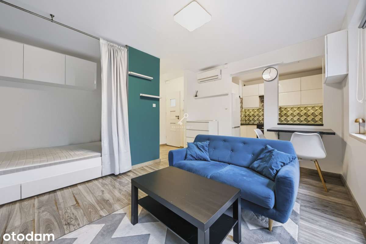 31 m2/Po remoncie/Od zaraz-1
