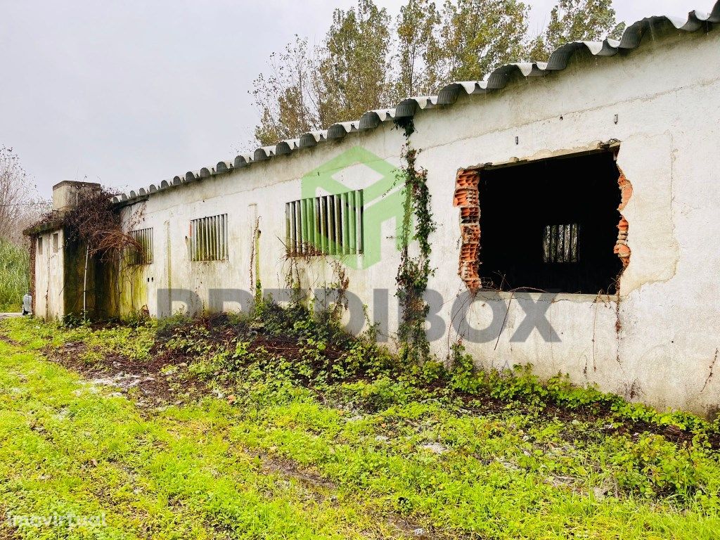 Armazém localizado em Mamarrosa - Oliveira do Bairro