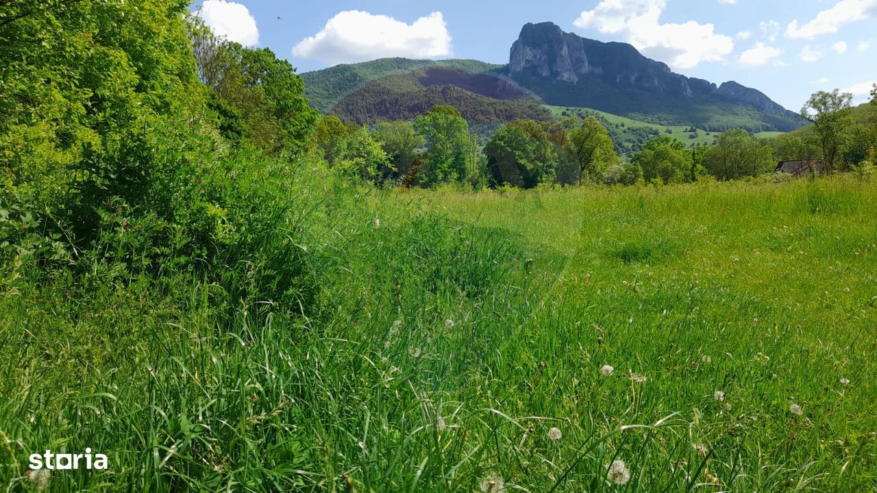 Teren in Rimetea, Piatra Secuiului, posibilitate de parcelare