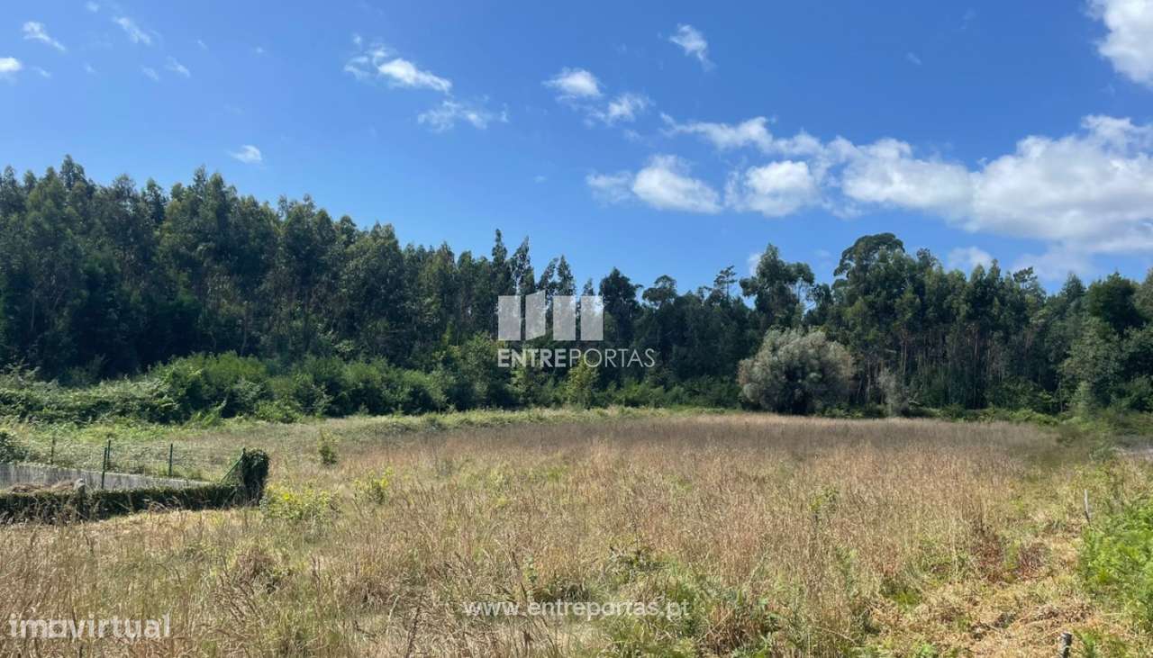 Venda de Terreno com 6272 m², Nogueira, Viana do Castelo. - Grande imagem: 5/30