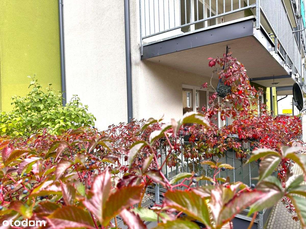 3pokoje, parter, parking, balkon, bez nakładów.-10