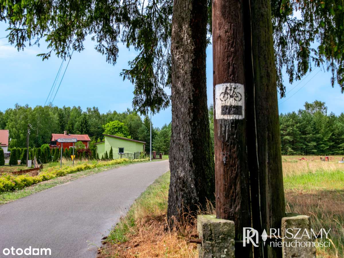 Bory Tucholskie - działki objęte Mpzp-13