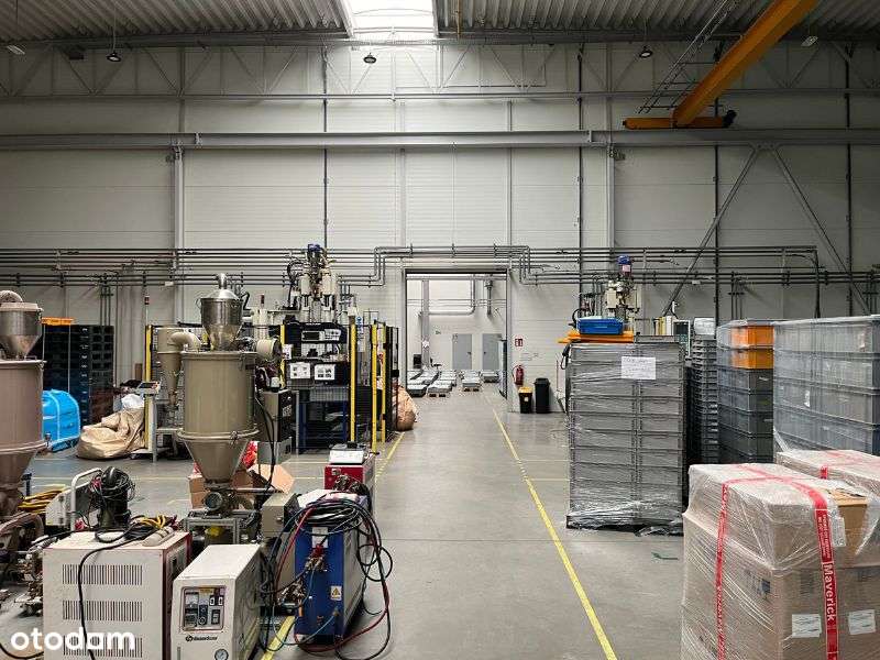 Biskupice Podgórne -nieruchomość produkcyjna 0.7ha - Pełny obrazek: 5/6