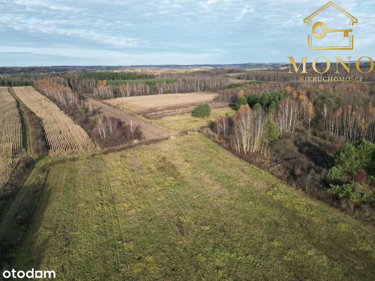 Działka 1 ha gmina Busko-Zdrój. - Pełny obrazek: 5/10