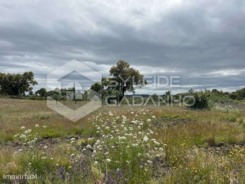 Terreno com casa agrícola para VENDA em São Miguel de Acha-21