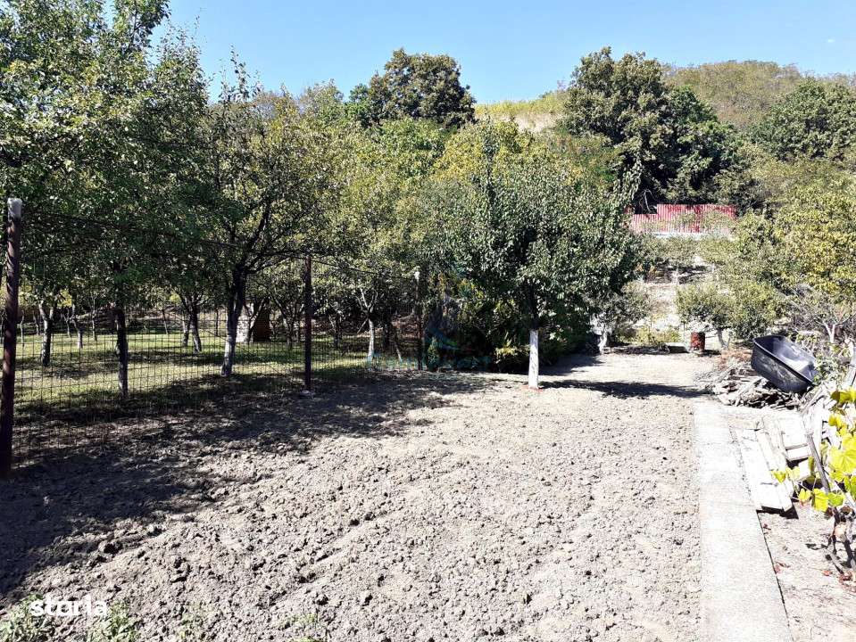 Gaminvest Casa din busteni de vanzare, Podgoria, Oradea,V2709 - Imagine principală: 4/13