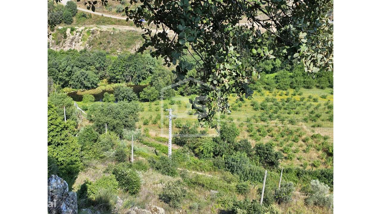 Quinta  Venda em Várzea de Abrunhais,Lamego - Grande imagem: 5/21