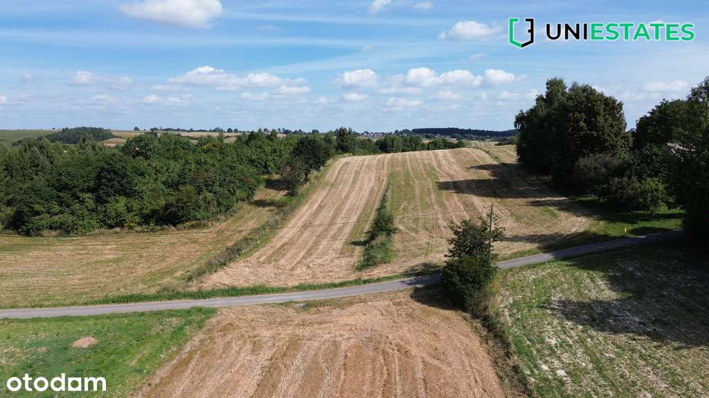 Trzy duże działki | Zagórowa | Cicha okolica