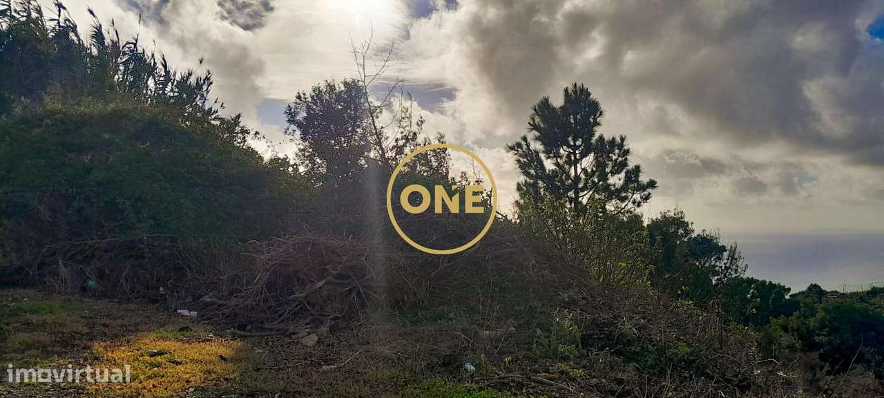 Terreno com 3707 m2 - Grande imagem: 3/11