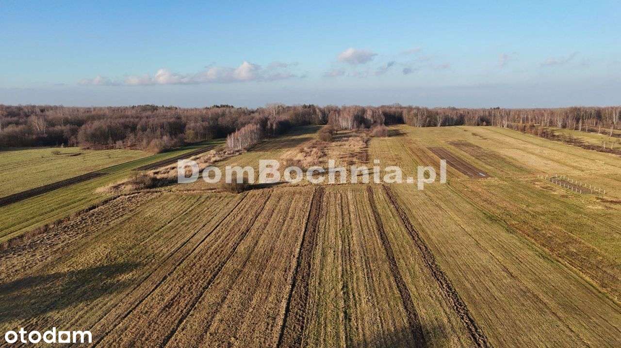 Jodłówka działka budowlana lokata w ziemi-10