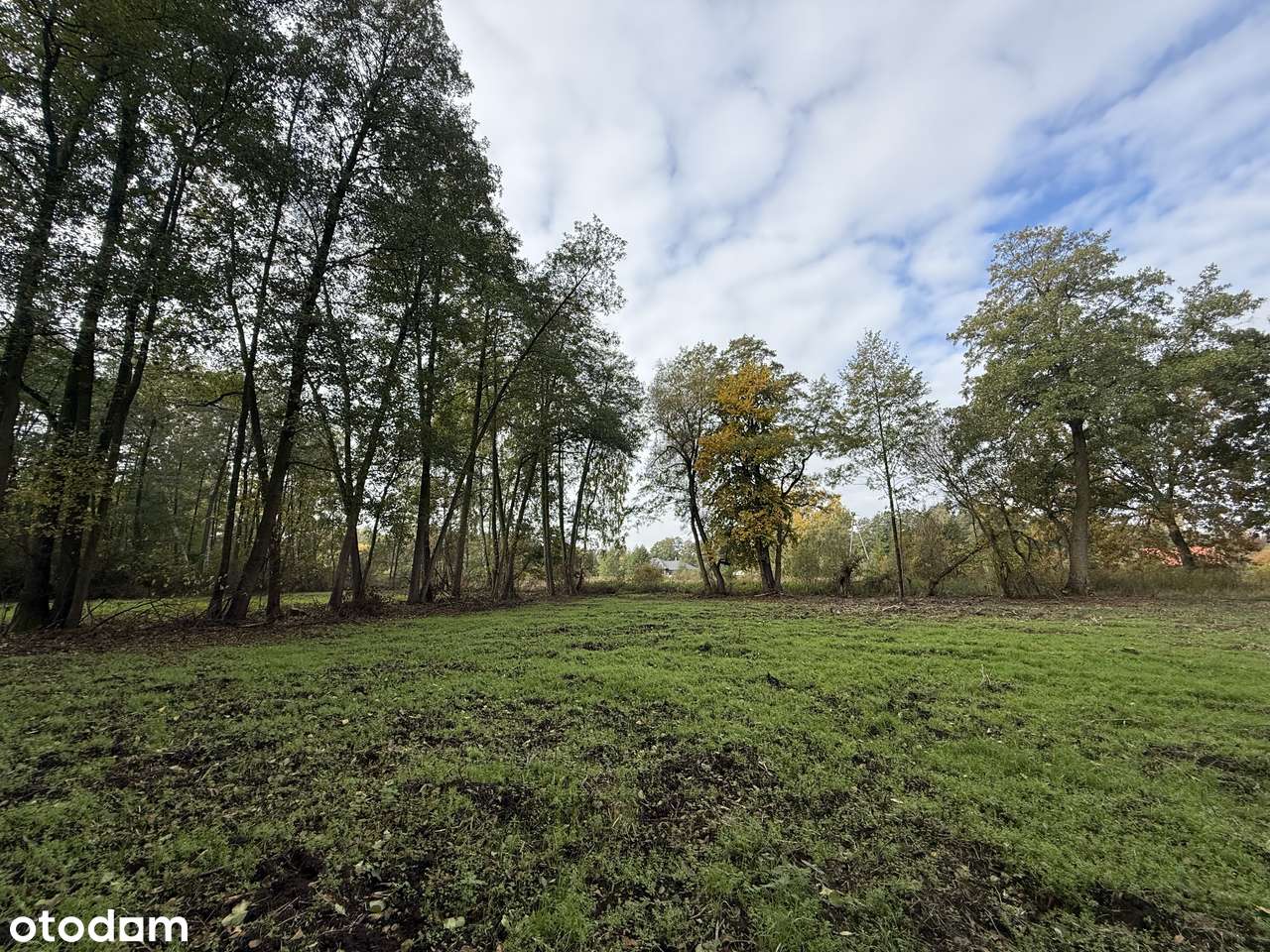 Adamów-wieś, 1500m2, bezpośrednio - Pełny obrazek: 4/6