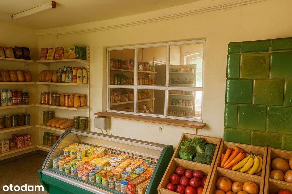 Lokal do remontu – sklep lub działalność – Niemczy-5