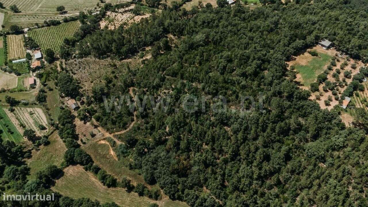 Terreno Rústico / Fundão, Fatela - Grande imagem: 4/20
