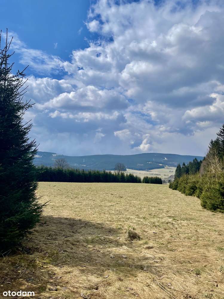 Przepiękna działka w Mostowicach - Góry Orlickie/Bystrzyckie - Pełny obrazek: 4/6