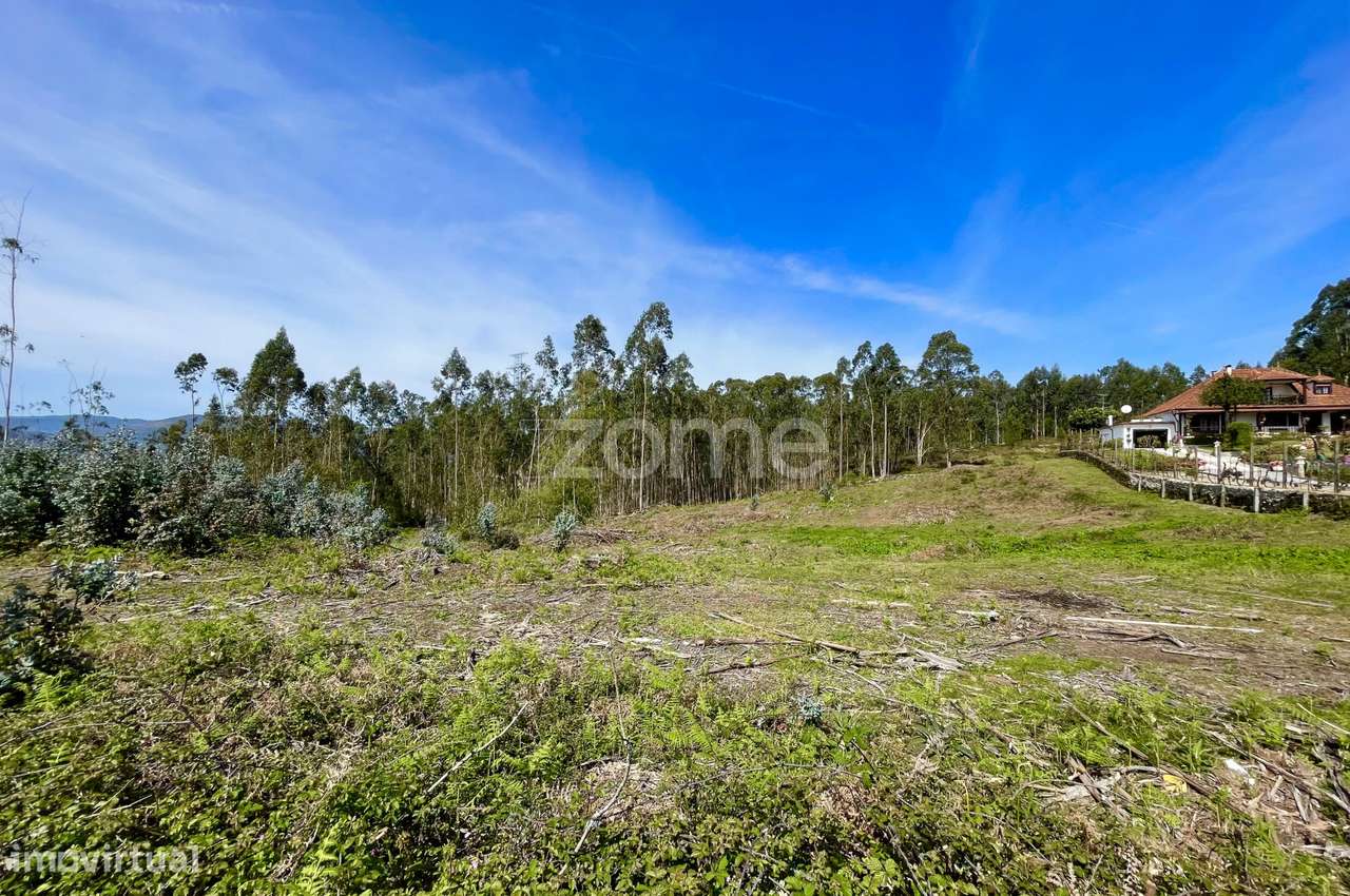 Terreno, 8 066 m², Gondoriz - Grande imagem: 5/21