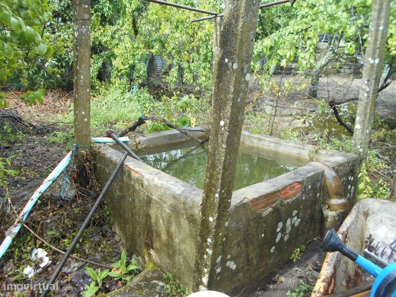 Quintinha - Grande imagem: 3/8