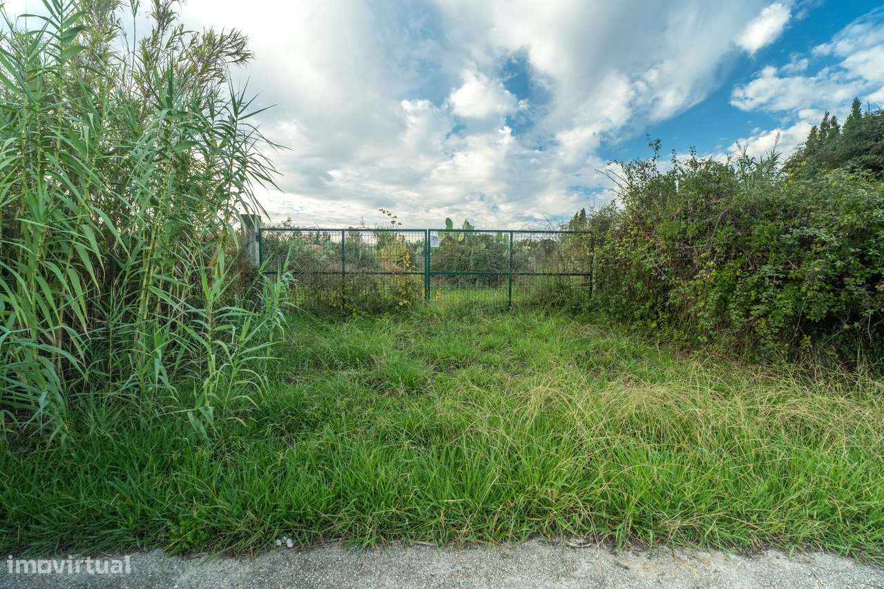 TERRENO– SANGALHOS, ANADIA-3