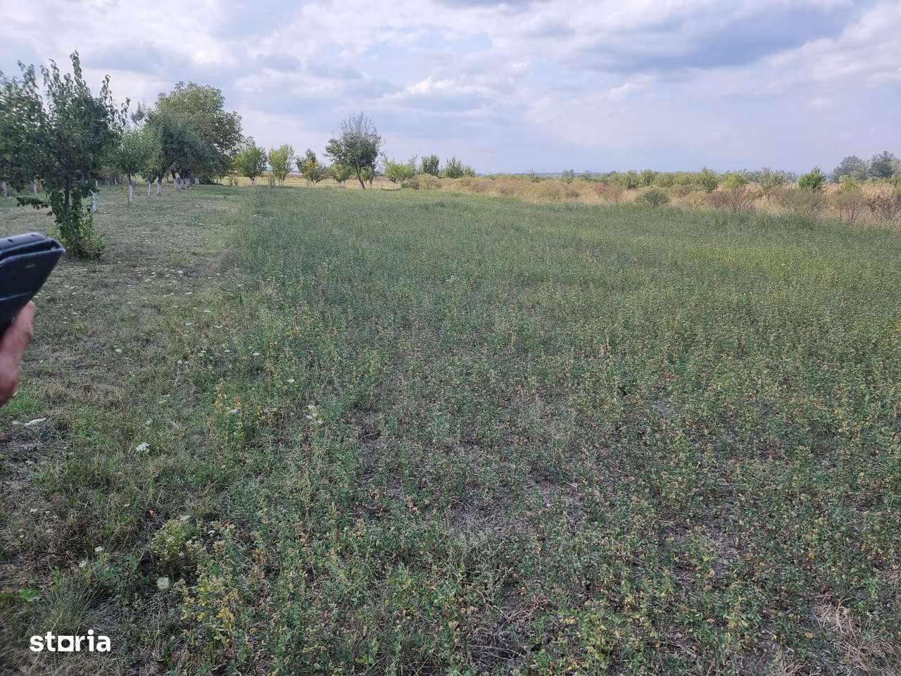 Casa in Dimoiu - Ulmi-17