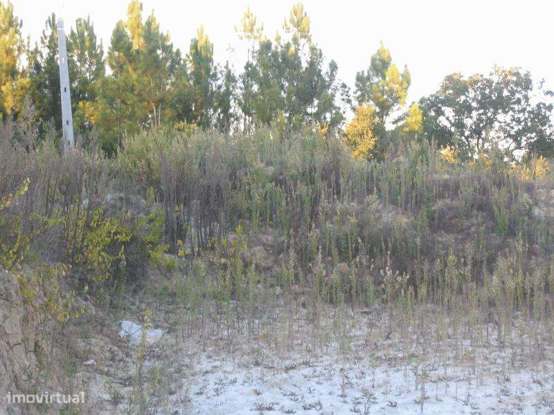 TERRENO PARA VENDA, ourém - nossa senhora da piedade - Grande imagem: 5/6