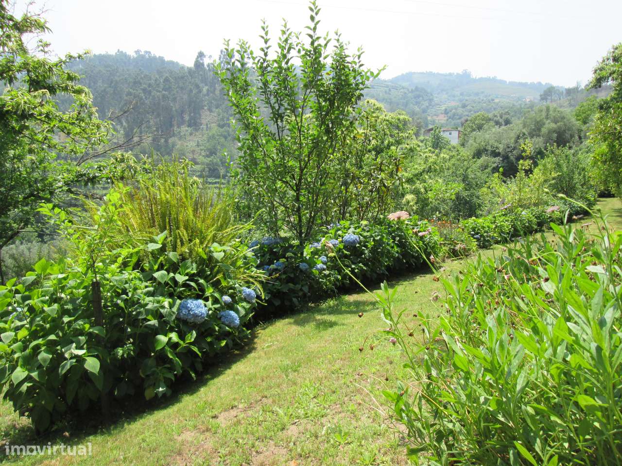 Quintinha no Minho Ponte de Lima * 10.000 m2 * a 90 Km do Porto-58