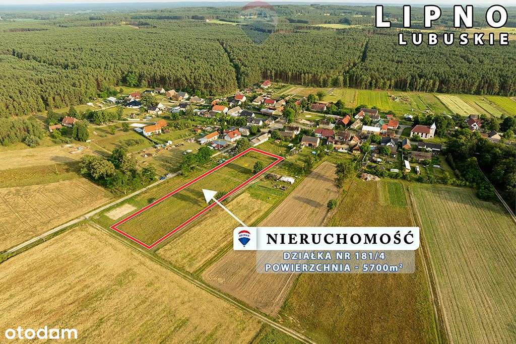 Na sprzedaż działka rolna z warunkami zabudowy - Pełny obrazek: 5/12