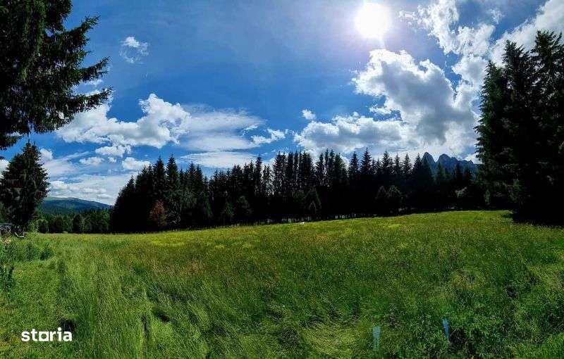 Teren unic Busteni - Imagine principală: 5/8