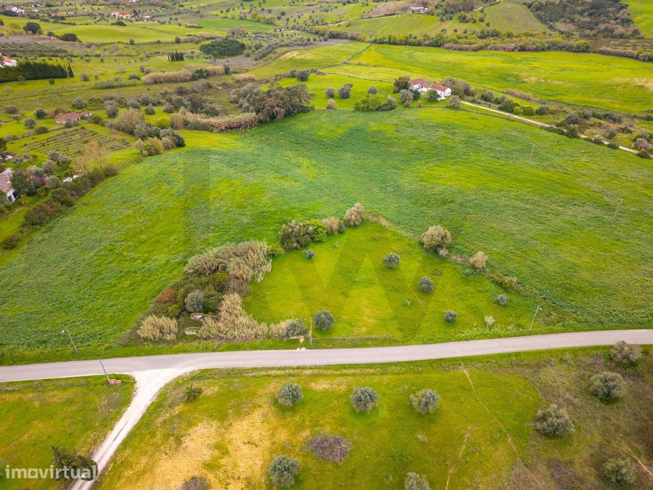 Terreno com 3240 m2, com Ruína, oportunidade única no Ribatejo - Grande imagem: 3/19