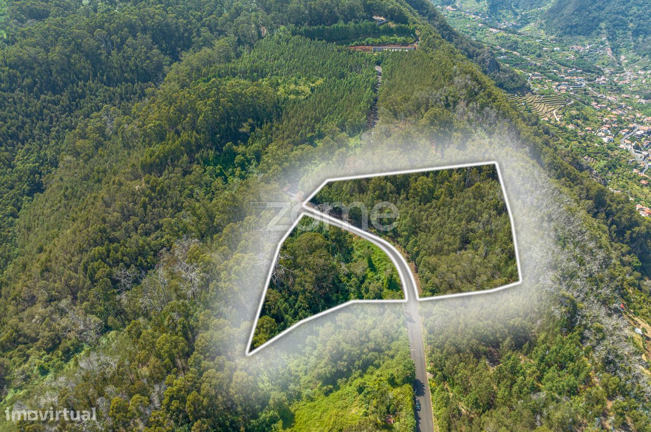 Terreno | Água de Pena ! Machico - Grande imagem: 1/15