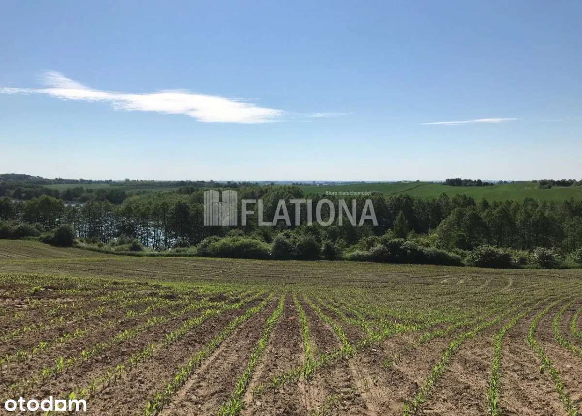 Działka o powierzchni 3919m2-6