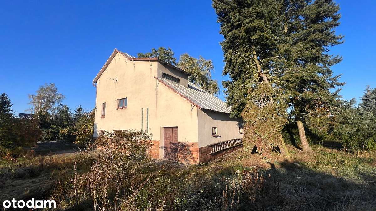 Duży dom 180 m2 na działce 1387 m2 w pobliżu lasu - Pełny obrazek: 4/20