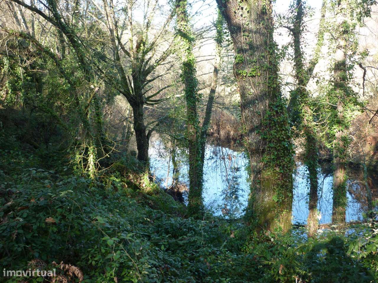 Terreno Junto a Nascente do Rio Ave!!!-5