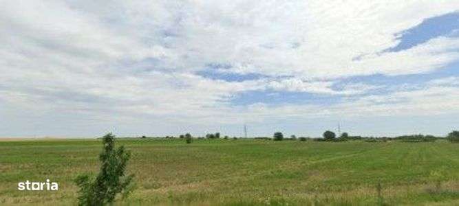 Teren extravilan Pogoanele, ID: R2586845 - Imagine principală: 3/7