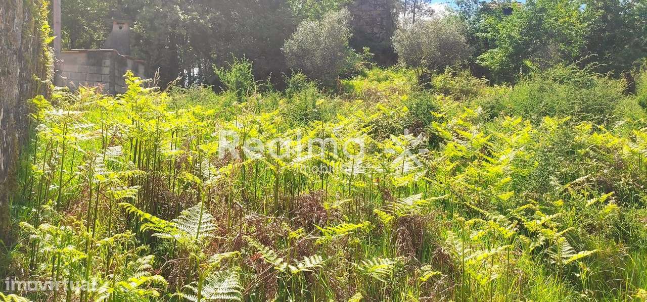 Terreno c/ Viabilidade Construtiva em Ruivães - Vieira do Minho - Grande imagem: 4/19